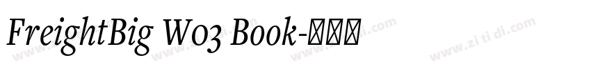 FreightBig W03 Book字体转换